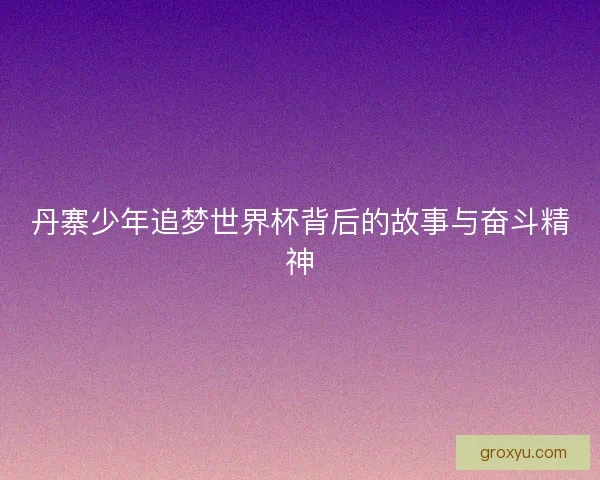 丹寨少年追梦世界杯背后的故事与奋斗精神